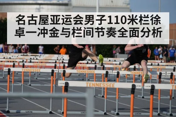 male hurdler 110m hurdles race